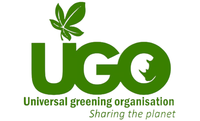 Ms. Zizile Khumalo-Nyembe